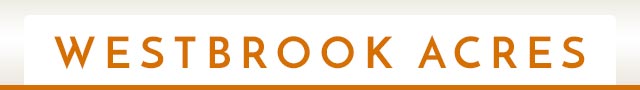 Memory Care - Westbrook Acres